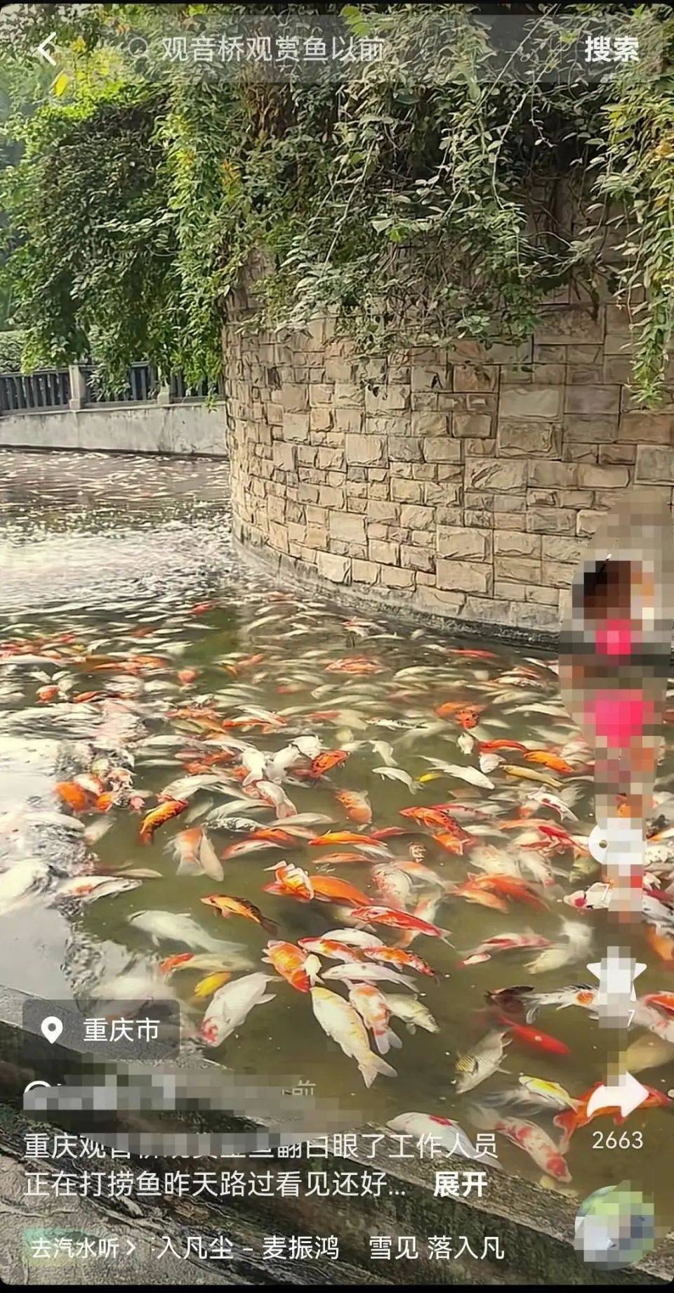 重庆观音桥步行街观赏鱼突然大量死亡，死鱼装满30余编织袋，警方回应