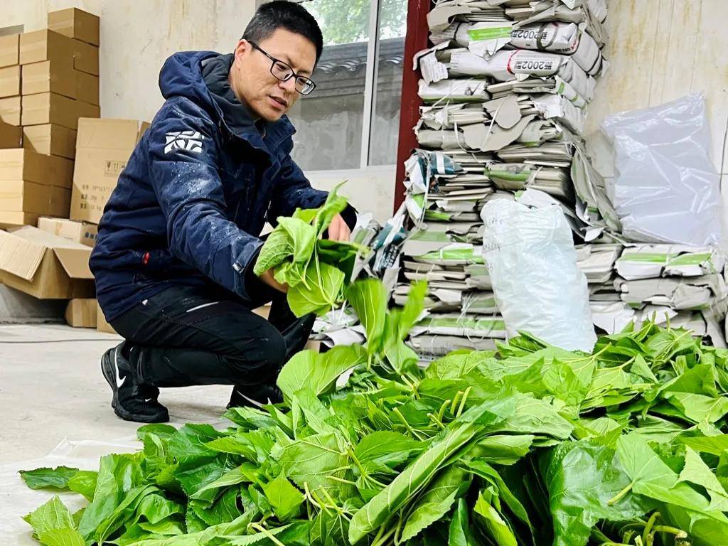 一年卖出1亿条虫！迷倒全国“10后”的小生意，有人年入千万
